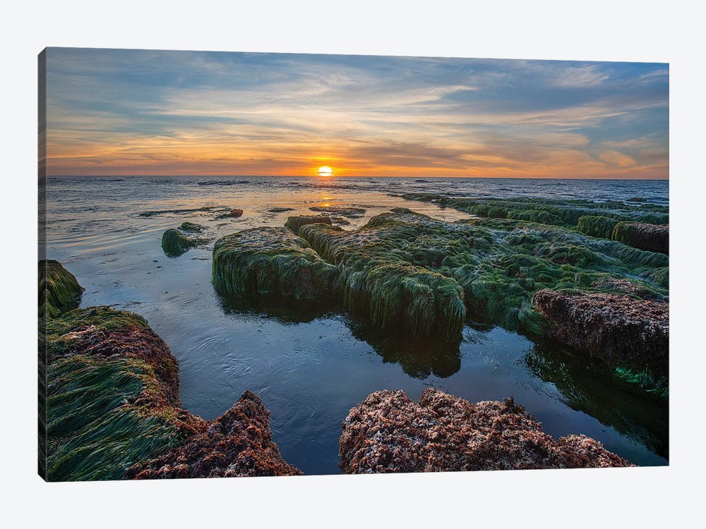 Low Tide Sunset Over Intertidal Zone, La Jolla Cove, San Diego, California by Tim Fitzharris 1-piece Canvas Art