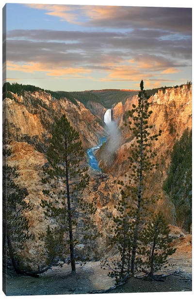 Lower Yellowstone Falls, Grand Canyon Of Yellowstone, Yellowstone National Park, Wyoming Canvas Art Print - Yellowstone National Park Art