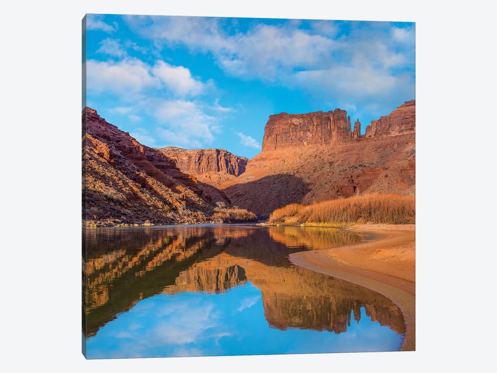 Mat Martin Point And The Colorado River, Arches National Park, Utah by Tim Fitzharris 1-piece Canvas Wall Art