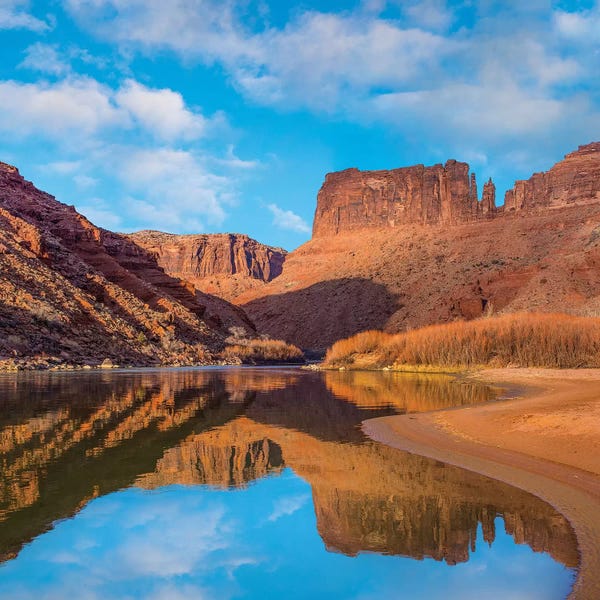 Arches National Park: Mat Martin Point And The Colorado River, Arches National Park, Utah by Tim Fitzharris
