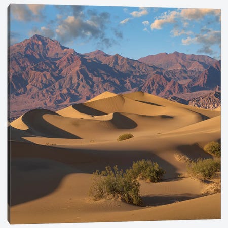 Mesquite Flat Sand Dunes, Death Valley National Park, California Canvas Print #TFI1365} by Tim Fitzharris Art Print