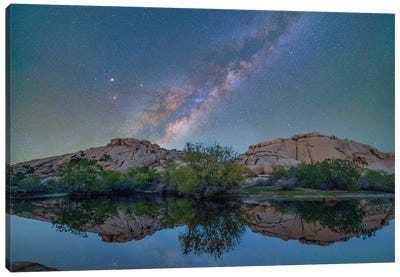 Milky Way, Barker Pond Trail, Joshua Tree National Park, California Canvas Art Print - Joshua Tree National Park