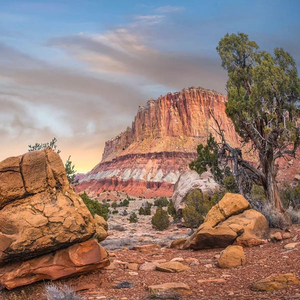 Utah: Mountain, Capitol Reef National Park, Utah by Tim Fitzharris