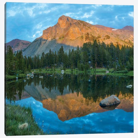 Mt. Dana Reflection, Tioga Pass, Yosemite National Park, California Canvas Print #TFI1384} by Tim Fitzharris Canvas Print