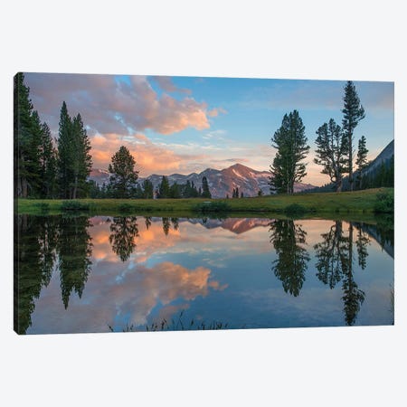 Mt. Dana Reflection, Tioga Pass, Yosemite National Park, California Canvas Print #TFI1385} by Tim Fitzharris Canvas Print