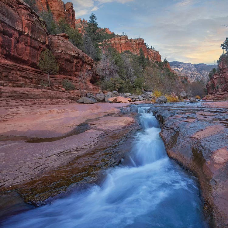 Oak Creek In Coconino National Forest, Arizona