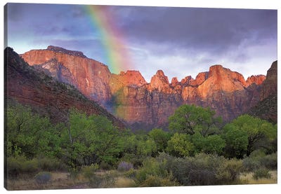 Rainbow At Towers Of The Virgin, Zion National Park, Utah Canvas Art Print