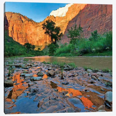 Reflections In Virgin River After Flooding, Zion National Park, Utah Canvas Print #TFI1414} by Tim Fitzharris Art Print