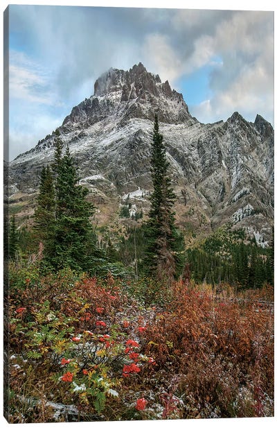 Rising Wolf Mountain, Glacier National Park, Montana Canvas Art Print - Glacier National Park Art