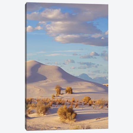 Sand Dune, White Sands Nm, New Mexico Canvas Print #TFI1433} by Tim Fitzharris Canvas Art