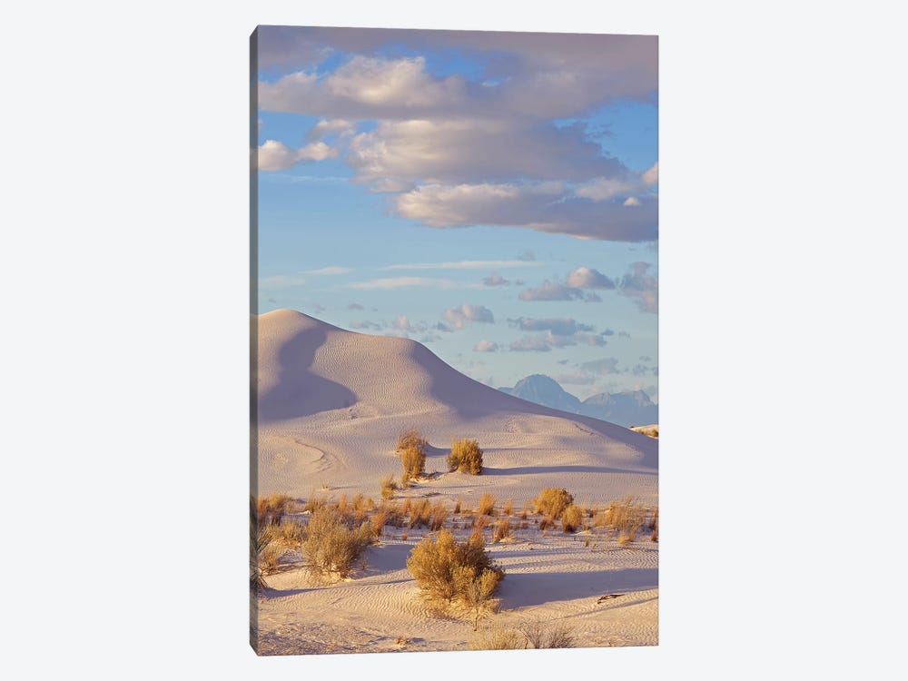 Sand Dune, White Sands Nm, New Mexico by Tim Fitzharris 1-piece Canvas Artwork