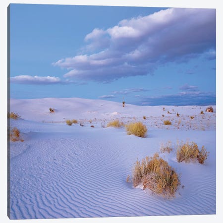 Sand Dunes, White Sands Nm, New Mexico Canvas Print #TFI1434} by Tim Fitzharris Canvas Art Print