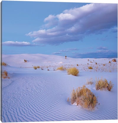 Sand Dunes, White Sands Nm, New Mexico Canvas Art Print - Desert Landscape Photography
