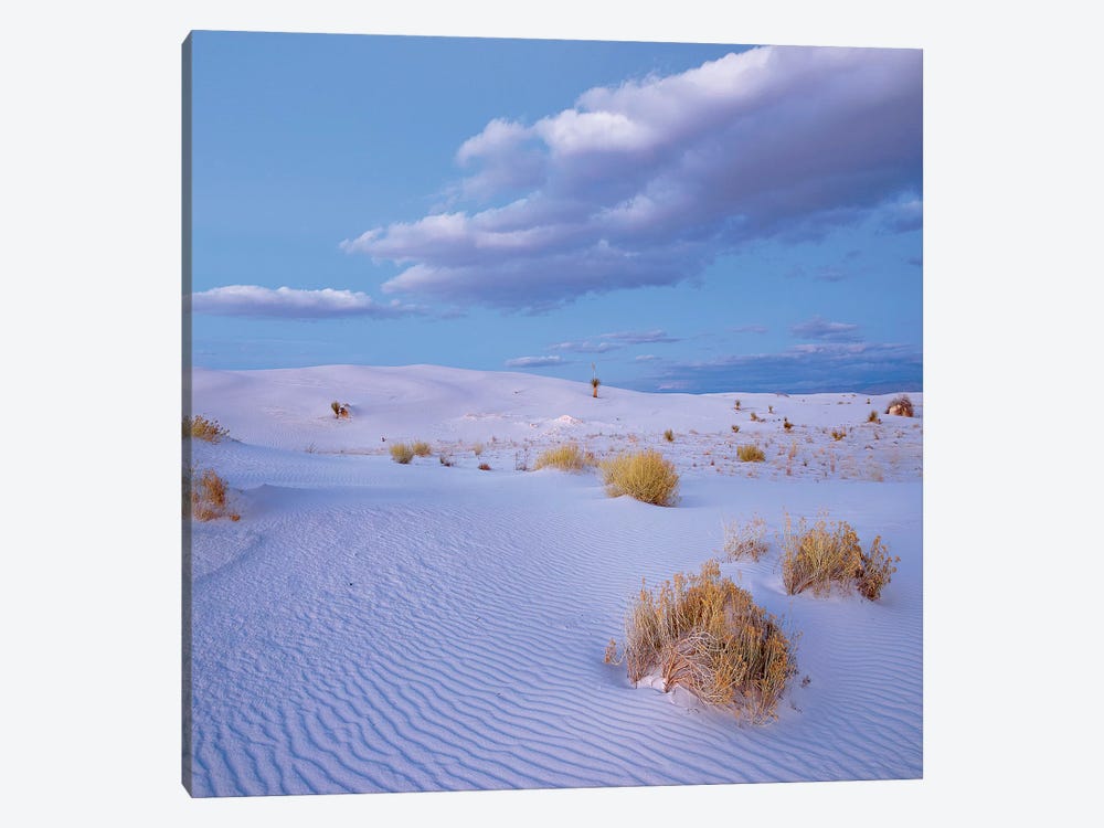 Sand Dunes, White Sands Nm, New Mexico by Tim Fitzharris 1-piece Canvas Print
