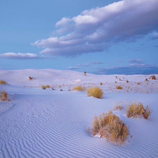 New Mexico: Sand Dunes, White Sands Nm, New Mexico by Tim Fitzharris