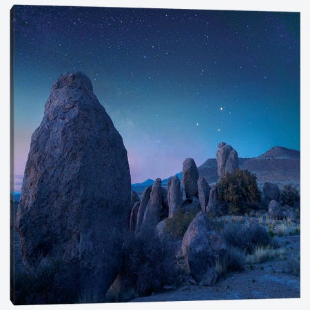Stars Over City Of Rocks State Park, New Mexico Canvas Print #TFI1450} by Tim Fitzharris Canvas Wall Art