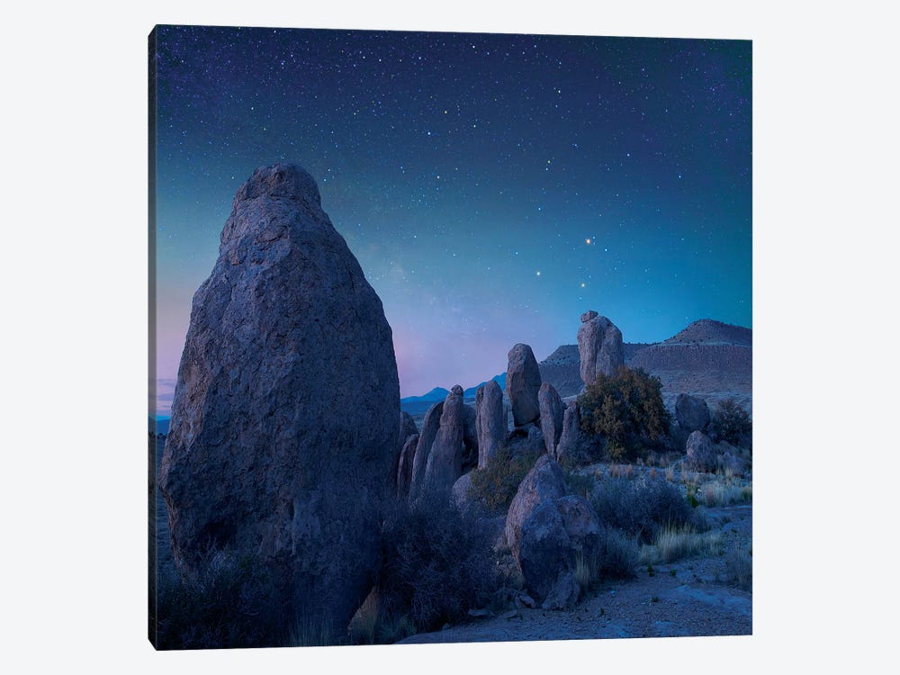 Stars Over City Of Rocks State Park, New Mexico by Tim Fitzharris 1-piece Art Print