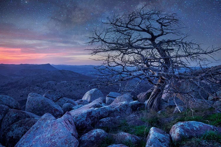 Stars Over Pine On Mount Scott, Wichita Mountains Nwr, Oklahoma by Tim Fitzharris wall art