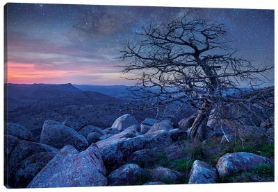 Stars Over Pine On Mount Scott, Wichita Mountains Nwr, Oklahoma Canvas Art Print - Oklahoma Art