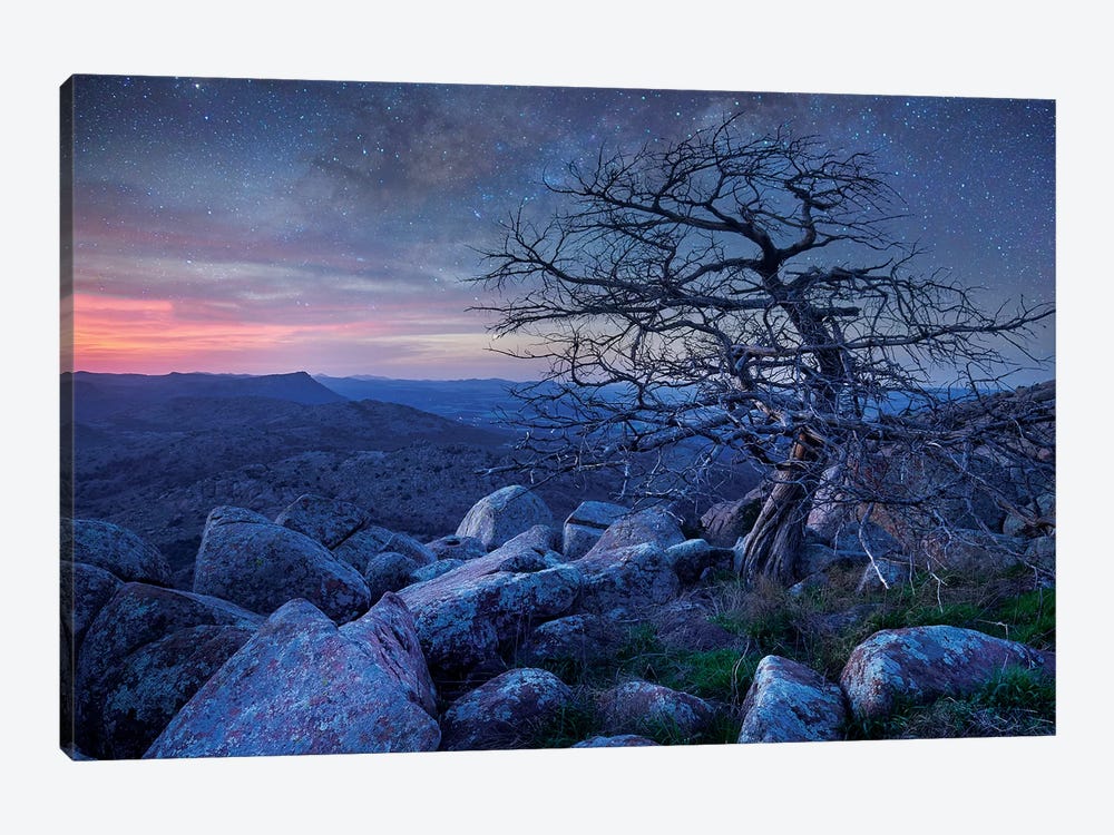 Stars Over Pine On Mount Scott, Wichita Mountains Nwr, Oklahoma by Tim Fitzharris 1-piece Canvas Art
