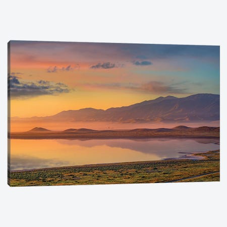 Sunrise And Mountains, Soda Lake, Carrizo Plain Nm, California Canvas Print #TFI1454} by Tim Fitzharris Canvas Print
