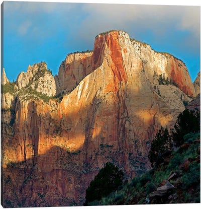Towers Of The Virgin, Zion National Park, Utah Canvas Art Print - Cliff Art