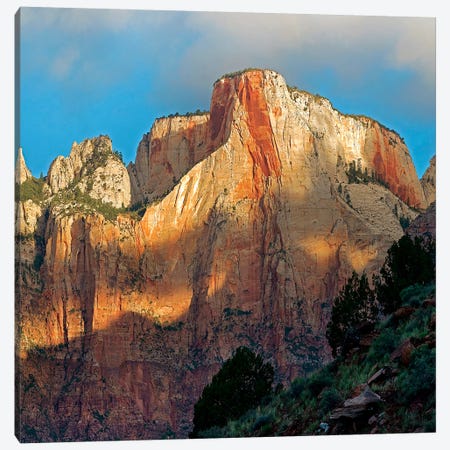 Towers Of The Virgin, Zion National Park, Utah Canvas Print #TFI1464} by Tim Fitzharris Canvas Artwork