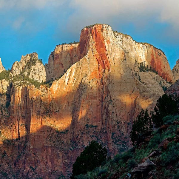 Minden Pictures: Towers Of The Virgin, Zion National Park, Utah by Tim Fitzharris