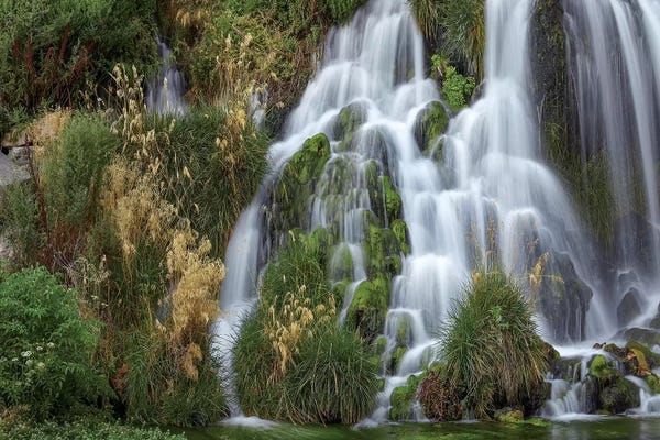 Idaho: Waterfall, Niagara Springs, Idaho by Tim Fitzharris