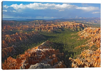 Bryce Canyon National Park Seen From Bryce Point, Utah I Canvas Art Print - Bryce Canyon National Park