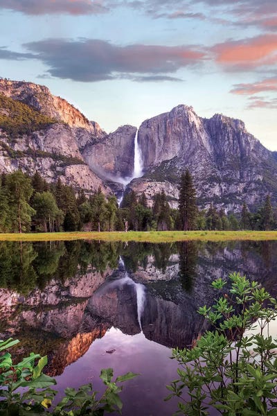 Medium: Yosemite Falls Reflected In Flooded Cook's Meadow, Yosemite Valley, Yosemite National Park, California by Tim Fitzharris
