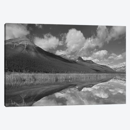 Beauty Creek, Winston Churchill Range, Jasper National Park, Alberta, Canada Canvas Print #TFI1522} by Tim Fitzharris Canvas Art