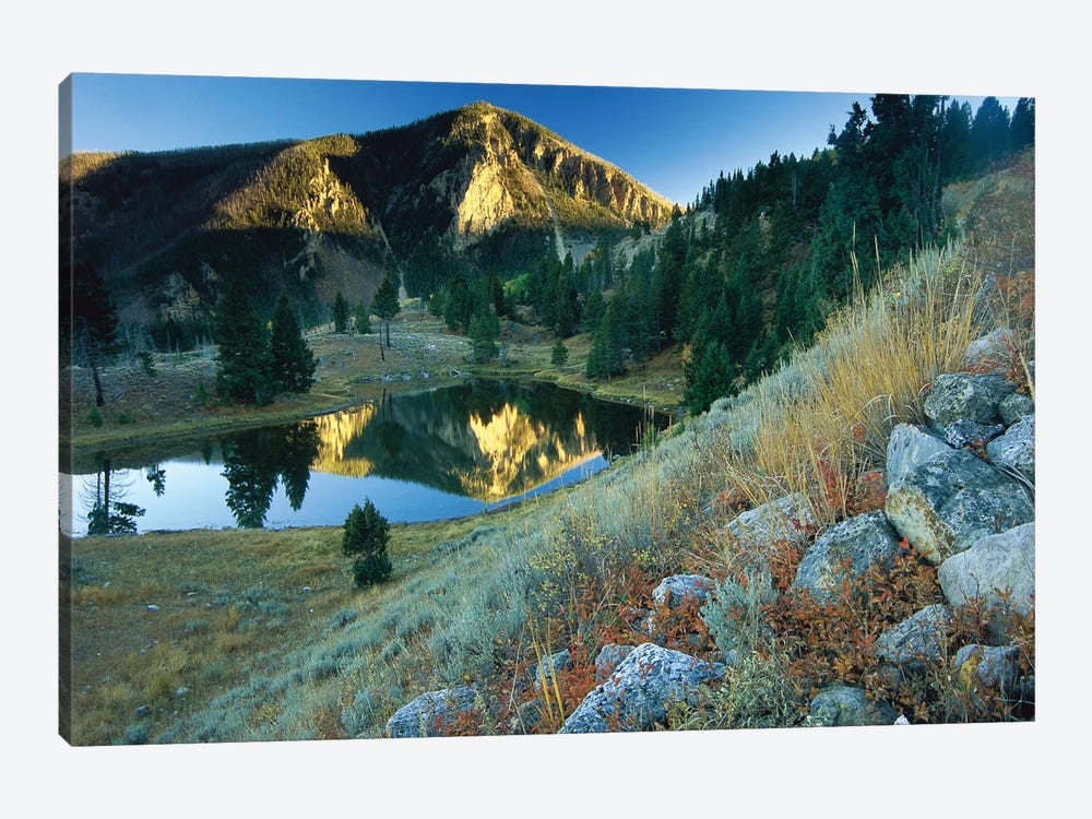Bunsen Peak, An Ancient Volcano Cone, Reflected In Lake, Near Mammoth, Yellowstone National Park, Wyoming by Tim Fitzharris 1-piece Canvas Art