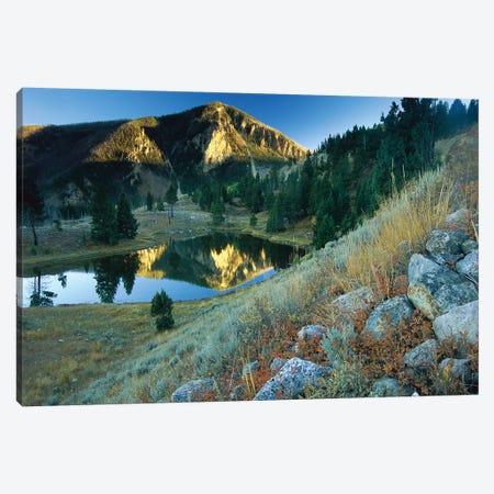Bunsen Peak, An Ancient Volcano Cone, Reflected In Lake, Near Mammoth, Yellowstone National Park, Wyoming Canvas Print #TFI152} by Tim Fitzharris Canvas Artwork