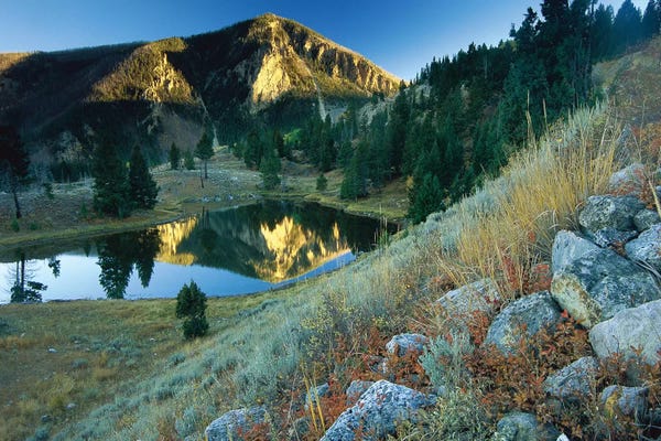 Wyoming: Bunsen Peak, An Ancient Volcano Cone, Reflected In Lake, Near Mammoth, Yellowstone National Park, Wyoming by Tim Fitzharris