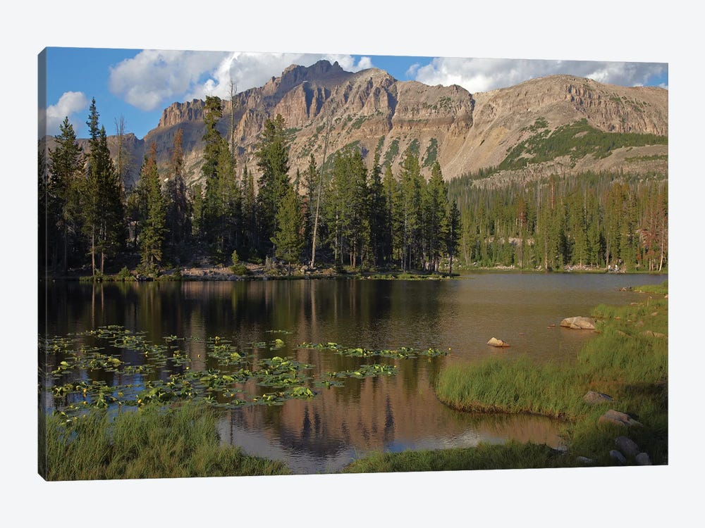 Butterfly Lake, Uinta Range, Utah by Tim Fitzharris 1-piece Canvas Print