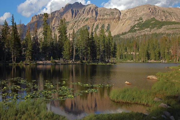 Utah: Butterfly Lake, Uinta Range, Utah by Tim Fitzharris