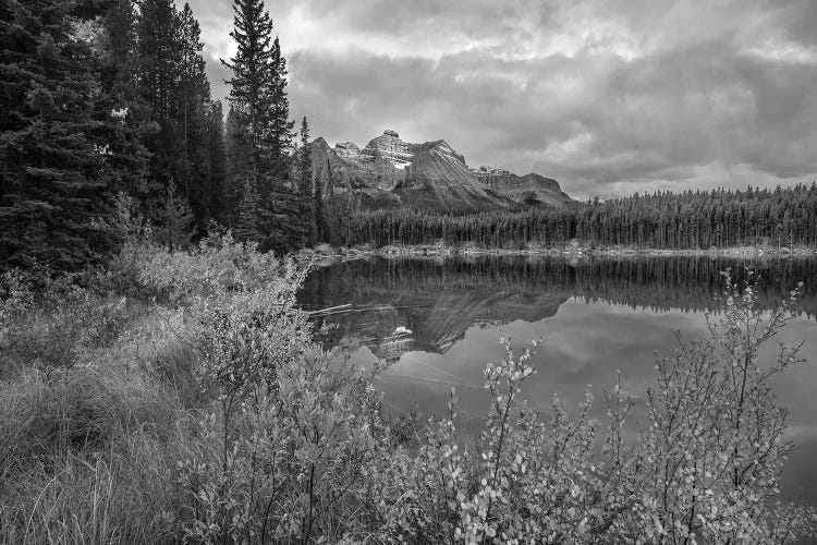 Bow Range at Herbert Lake, Rocky Mountains, Banff National Park, Alberta, Canada