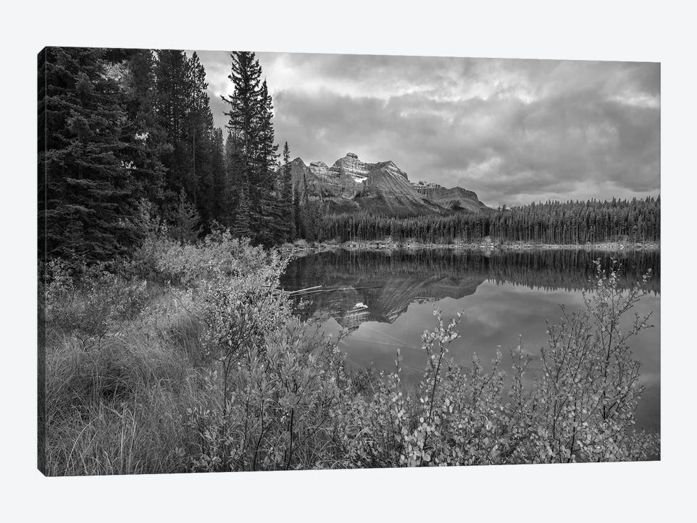 Bow Range at Herbert Lake, Rocky Mountains, Banff National Park, Alberta, Canada by Tim Fitzharris 1-piece Canvas Art