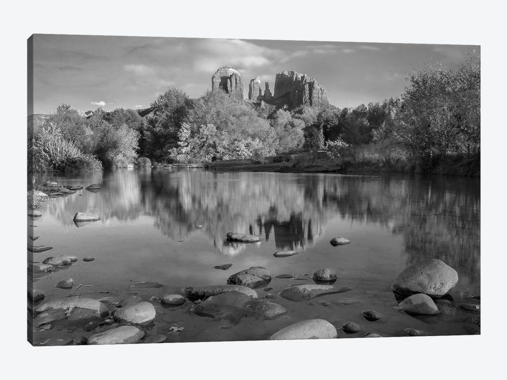 Cathedral Rock reflected in Oak Creek at Red Rock crossing, Red Rock State Park near Sedona, Arizona by Tim Fitzharris 1-piece Canvas Art