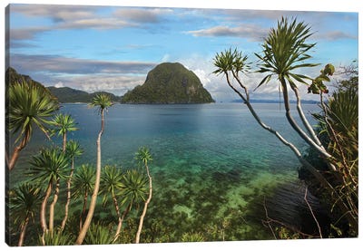 Cadlao Island Near El Nido, Palawan, Philippines Canvas Art Print - Tim Fitzharris