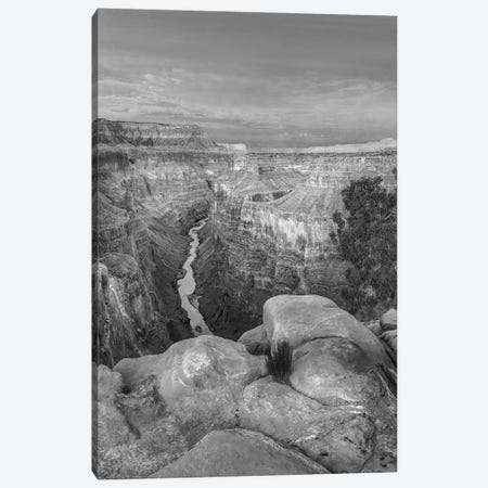 Colorado River from Toroweap Overlook,Grand Canyon, Arizona Canvas Print #TFI1580} by Tim Fitzharris Canvas Art