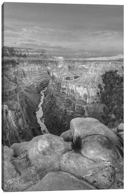 Colorado River from Toroweap Overlook,Grand Canyon, Arizona Canvas Art Print - Grand Canyon National Park Art
