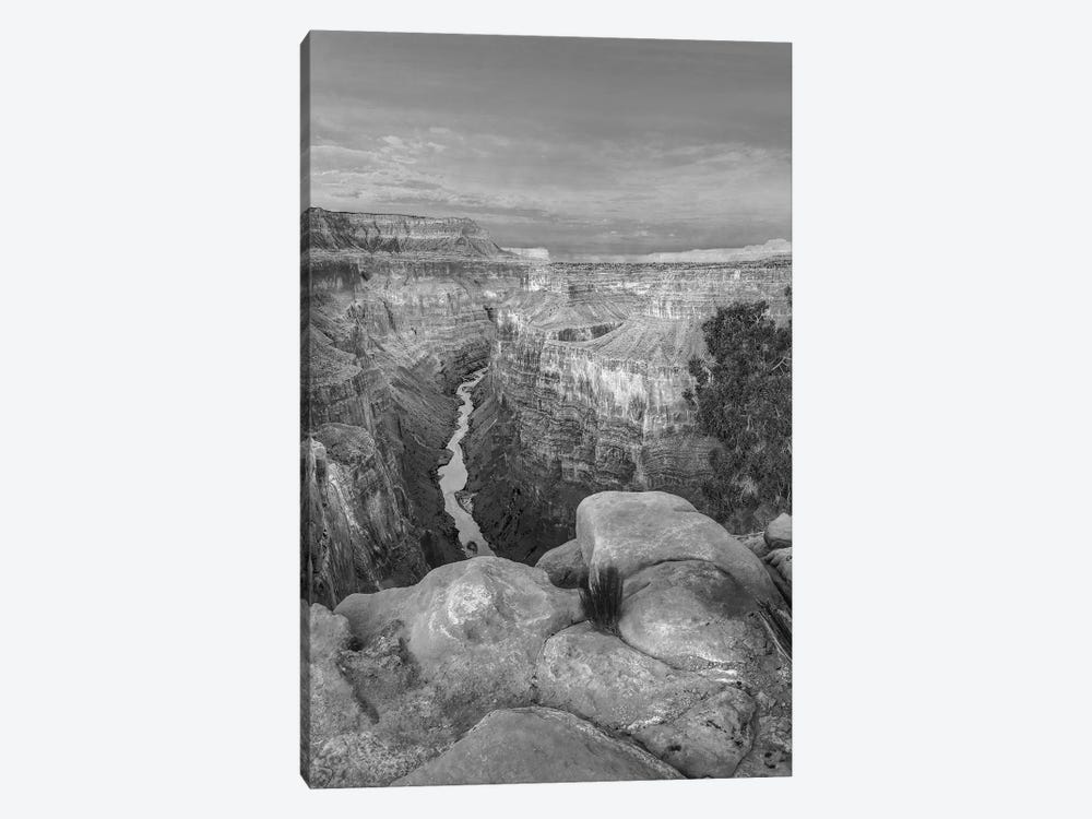 Colorado River from Toroweap Overlook,Grand Canyon, Arizona by Tim Fitzharris 1-piece Canvas Print