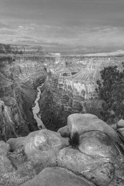 Grand Canyon National Park: Colorado River from Toroweap Overlook,Grand Canyon, Arizona by Tim Fitzharris