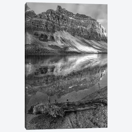 Crowfoot Mountains and Bow Lake, Icefields Parkway, Rocky Mountains, Alberta, Canada Canvas Print #TFI1587} by Tim Fitzharris Art Print