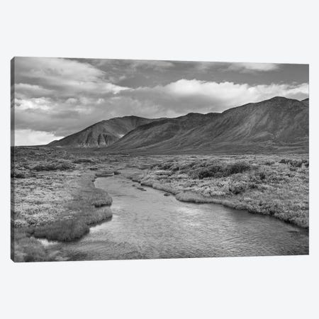 Hart River flowing over tundra beneath the Ogilvie Mountains, Yukon Territory, Canada Canvas Print #TFI1639} by Tim Fitzharris Canvas Wall Art