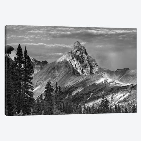 Hilda Peak, Icefields Parkway, Banff National Park, Alberta, Canada Canvas Print #TFI1641} by Tim Fitzharris Canvas Art Print