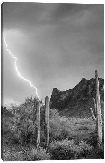Lightning over Picacho Peak, Picacho State Park, Arizona Canvas Art Print - Arizona Art
