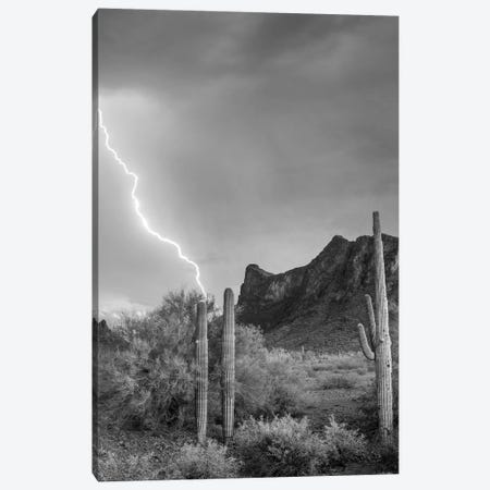 Lightning over Picacho Peak, Picacho State Park, Arizona Canvas Print #TFI1652} by Tim Fitzharris Canvas Artwork